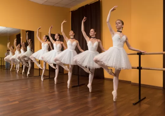 bale eğitimi konservatuvar