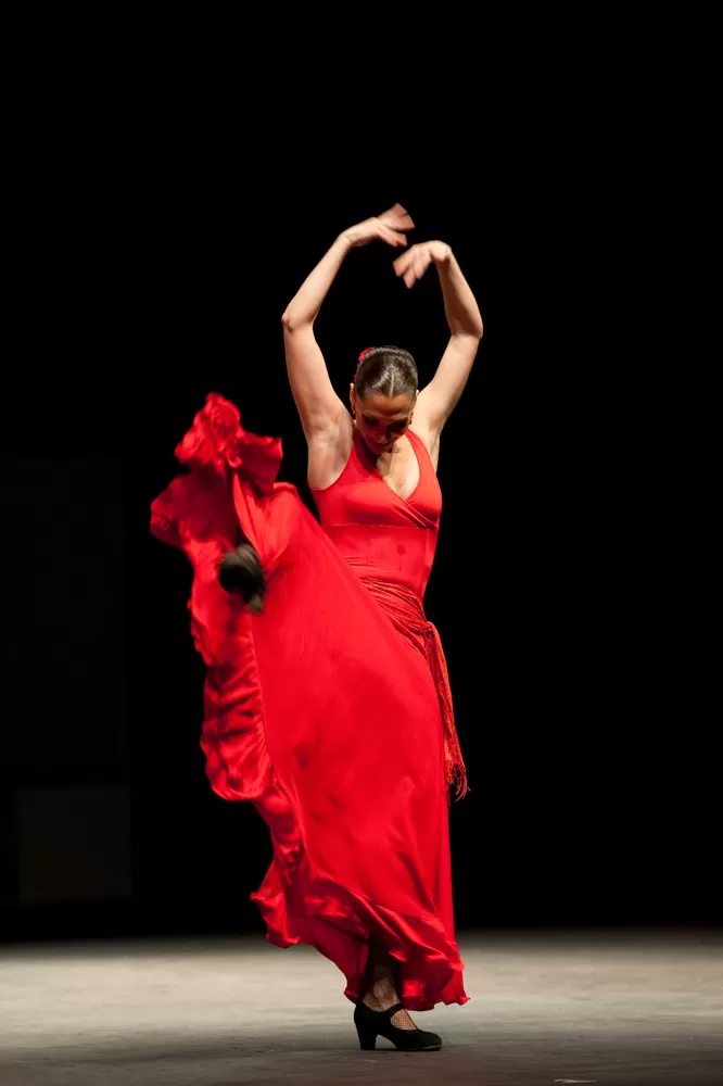 en iyi flamenko kursu