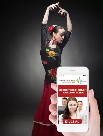 en iyi flamenko kursu