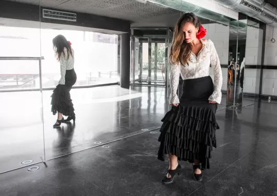 flamenko kursu ücret