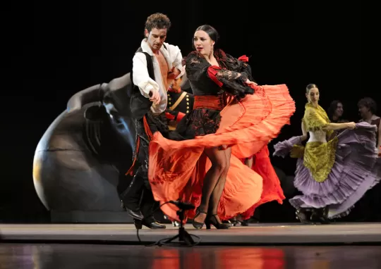 paso doble dersleri